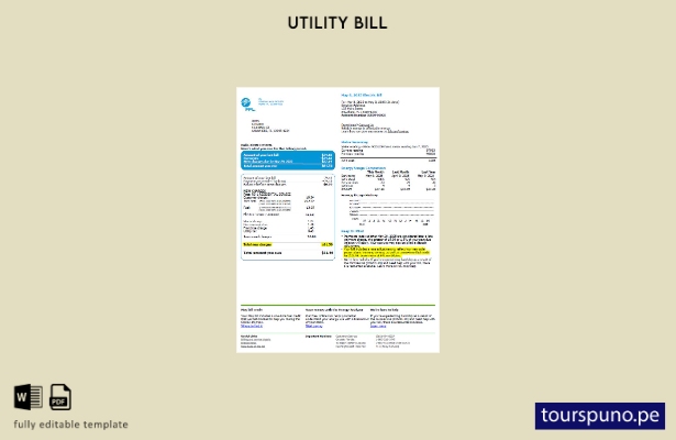 lista para imprimir plantilla de versión de factura de servicios públicos de FPL